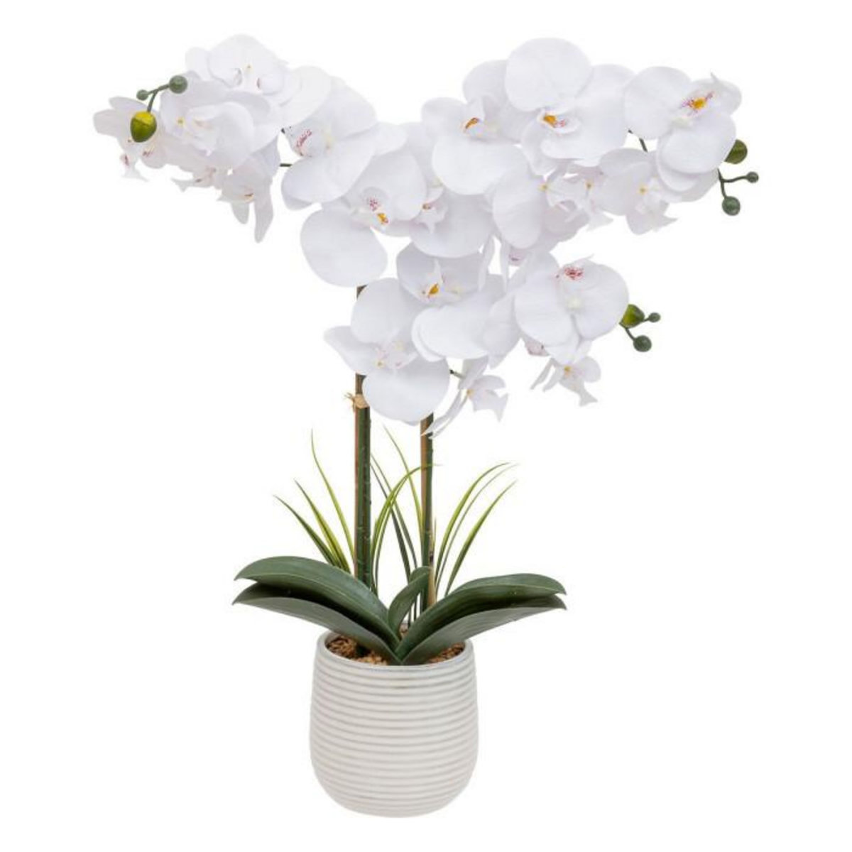 ATMOSPHERA Orchidée Artificielle en Pot  Riva  60cm Blanc