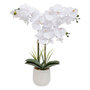 Voir la diapositive 1 : ATMOSPHERA Orchidée Artificielle en Pot  Riva  60cm Blanc