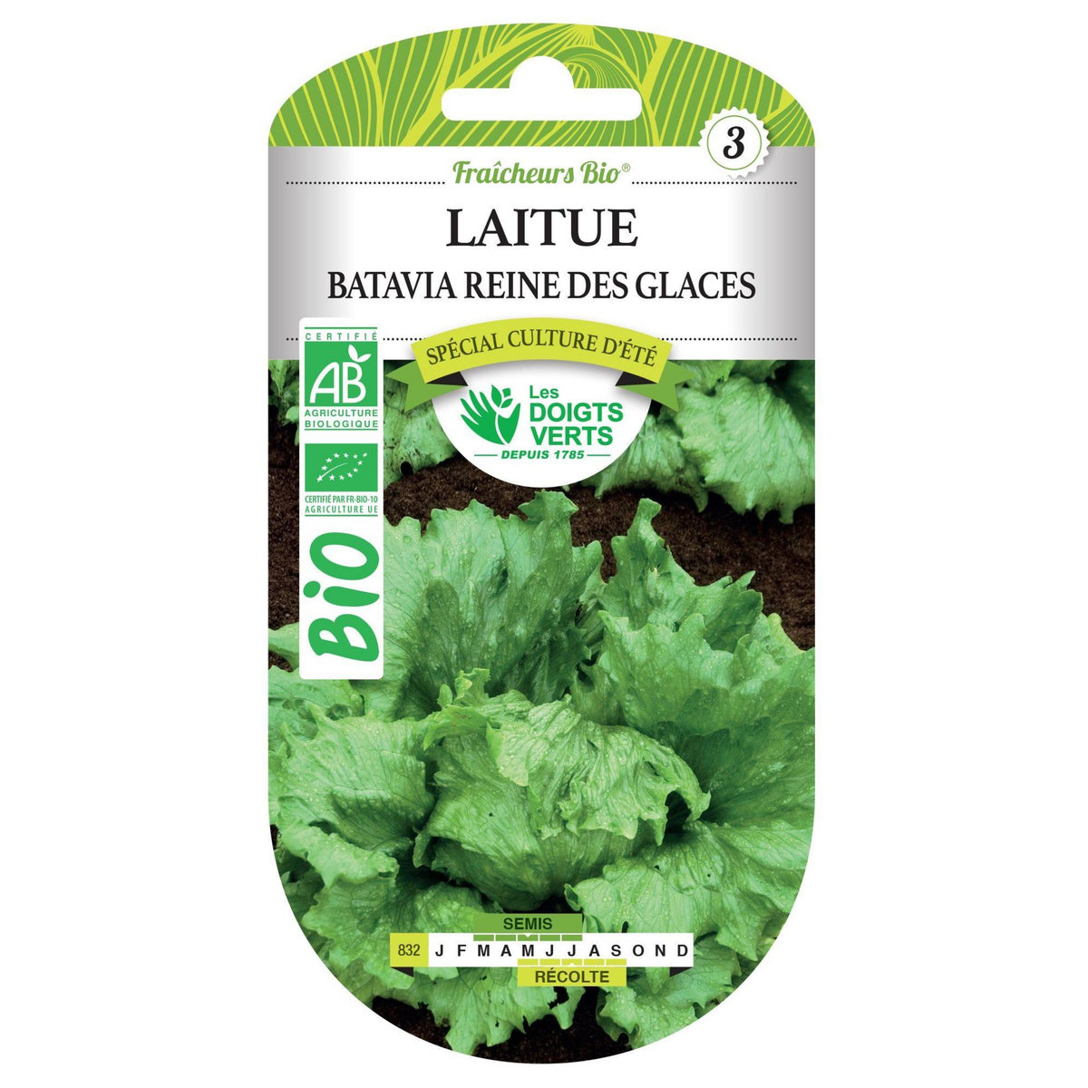 LES DOIGTS VERTS Graines laitue batavia reine des glaces BIO Les Doigts Verts