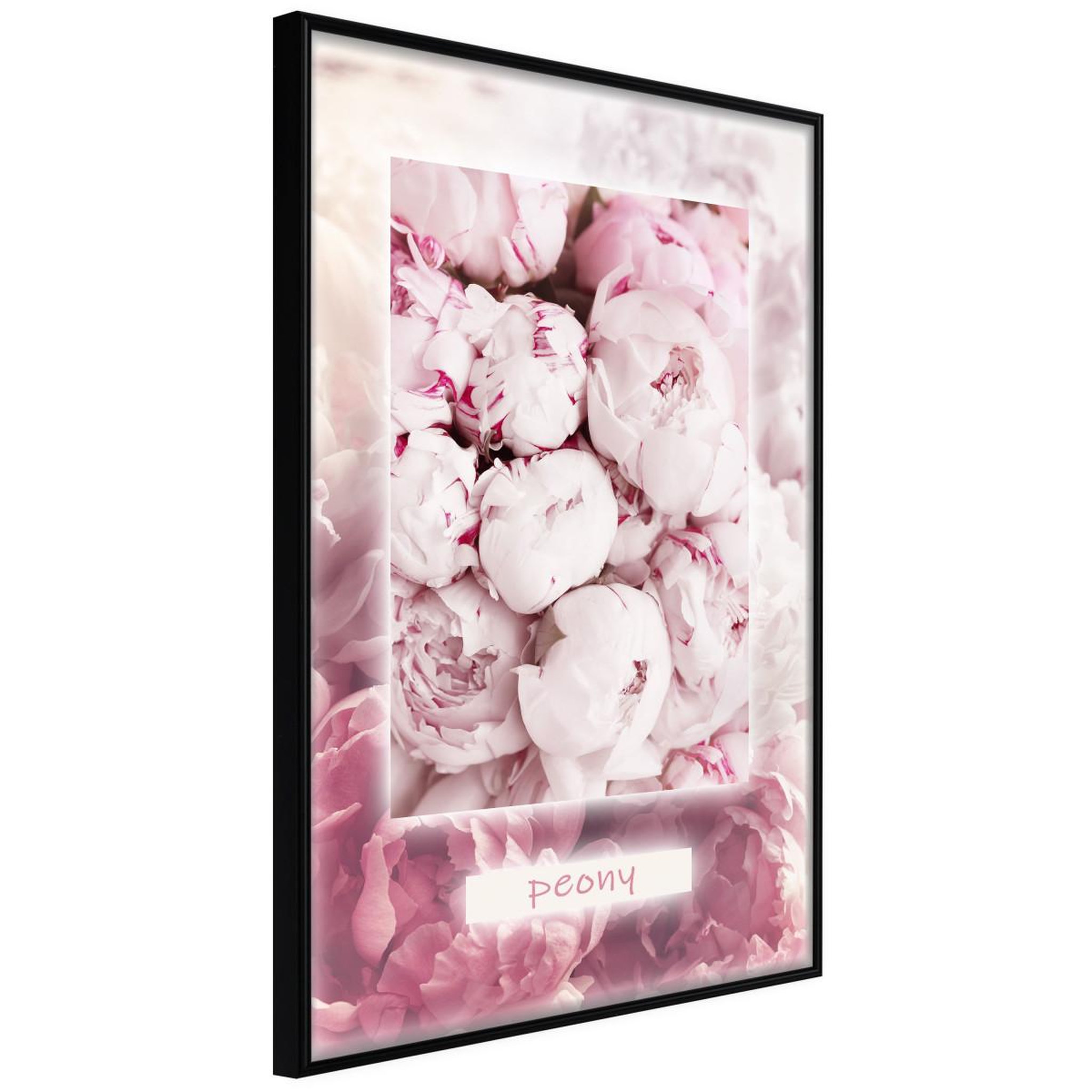 Paris Prix Affiche murale encadrée  scent of peonies