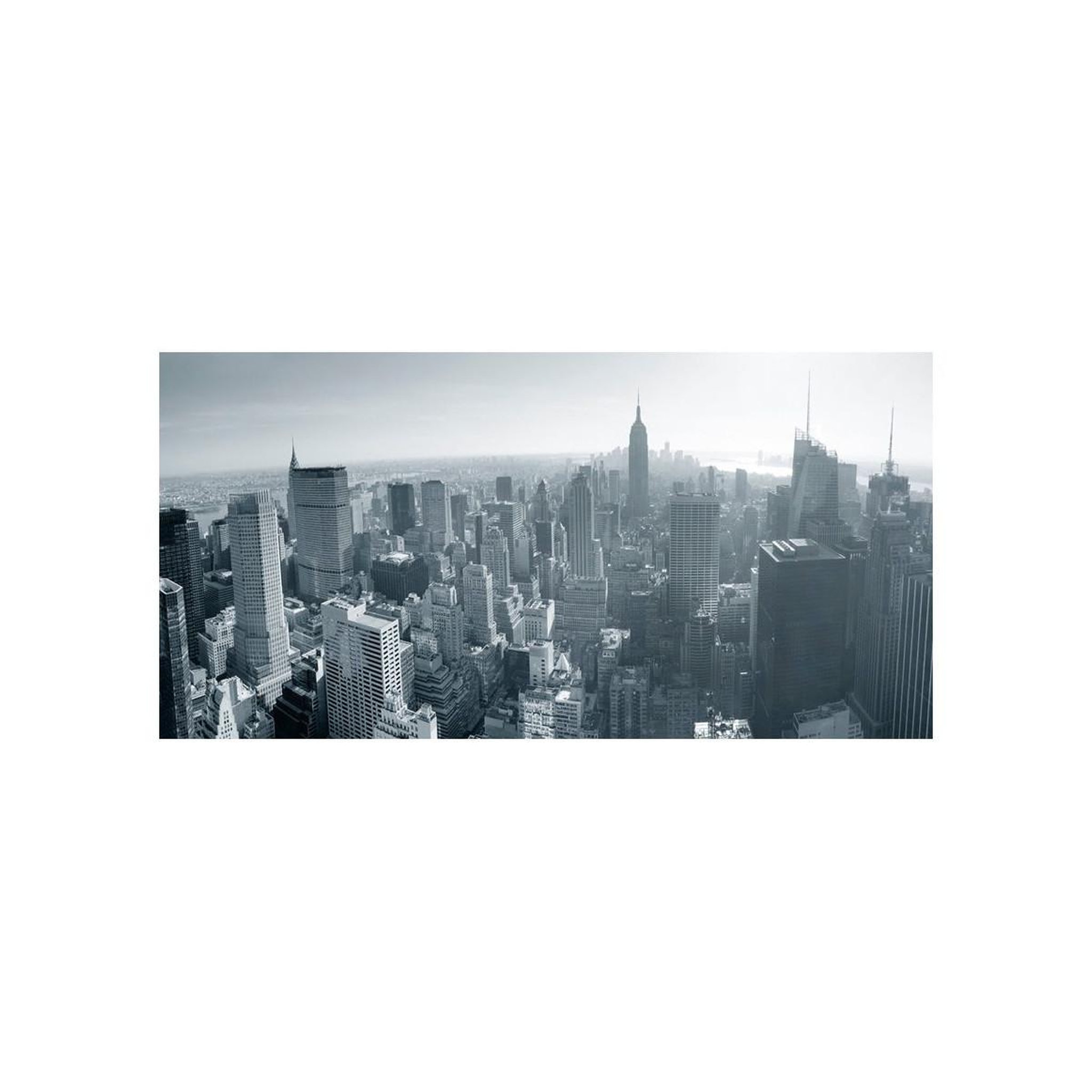 Voir la diapositive 2 : Paris Prix Papier peint xxl  panorama de new york en noir & blanc  270x550cm