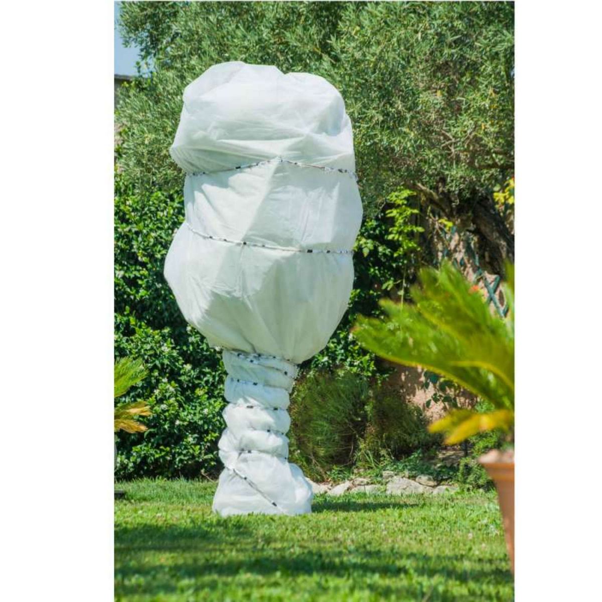  Voile d'hivernage blanc 30g/m2 Werkapro 2 x 5 m