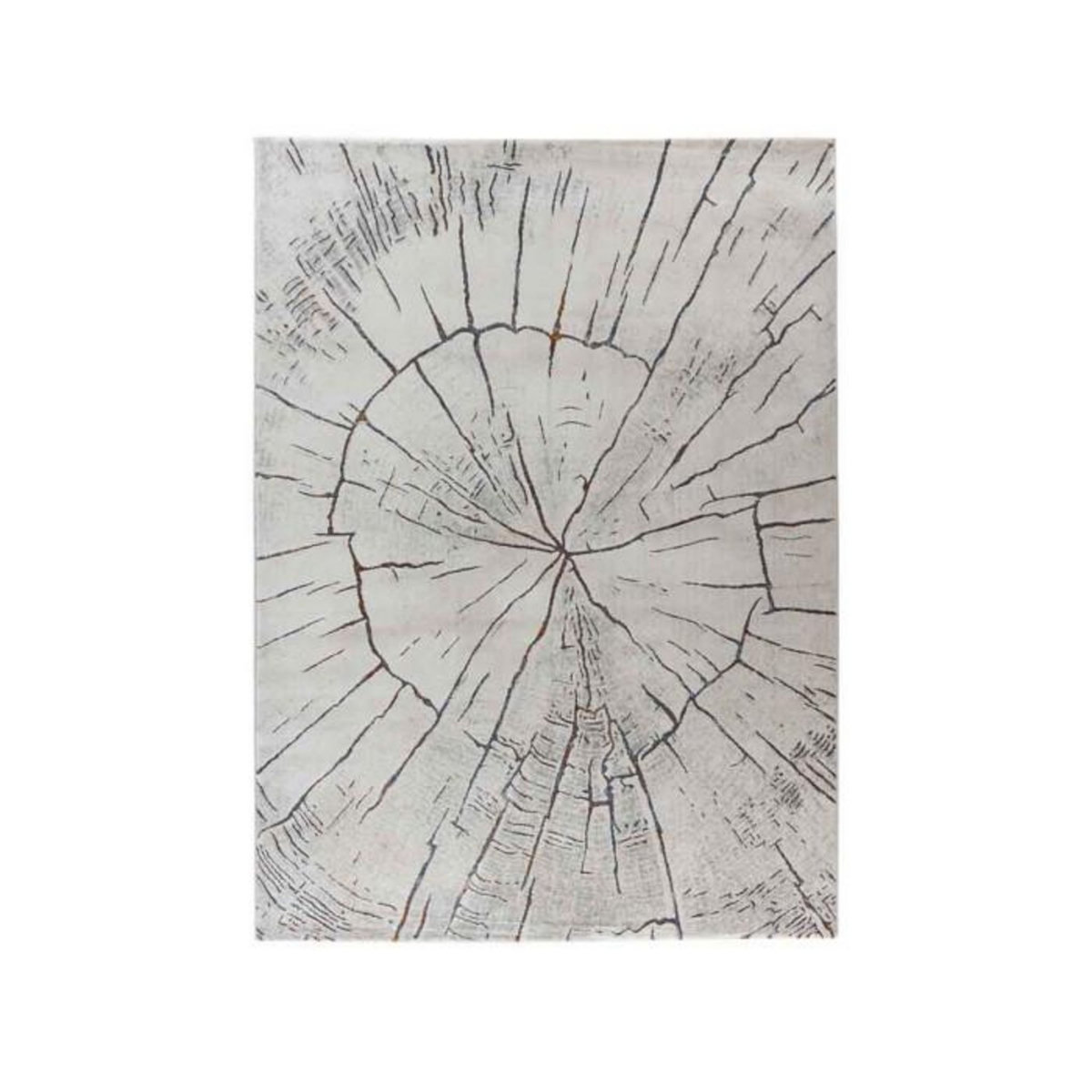 Paris Prix Tapis Déco Tissé Abstrait  Lorin  Gris