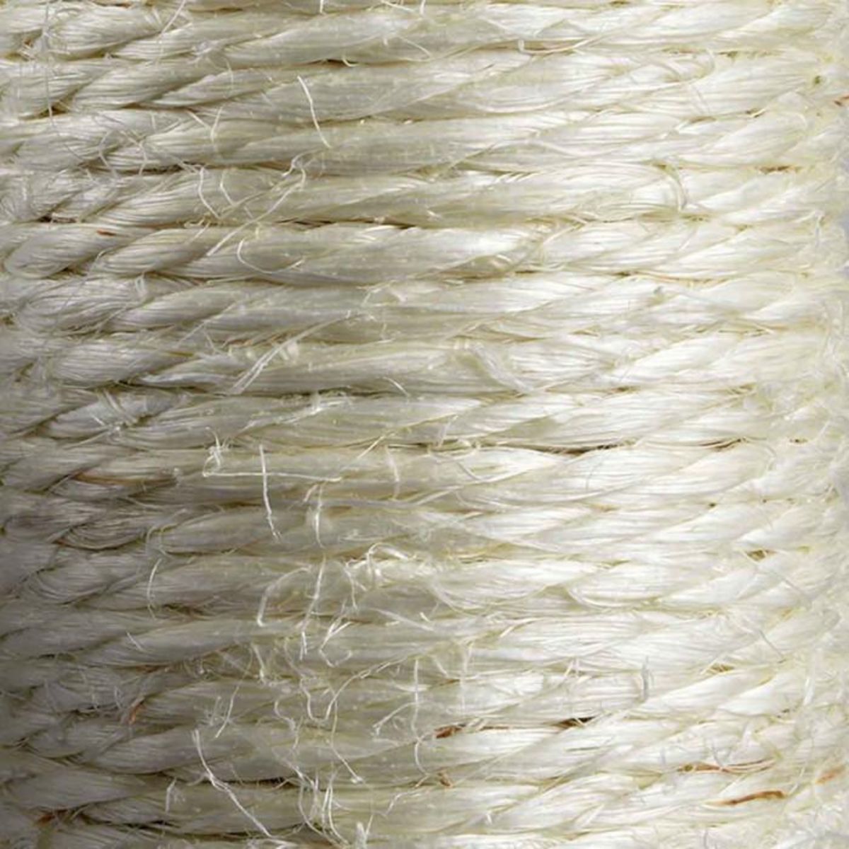 Paris Prix Arbre à Chat avec Niche  2 Plateformes  60cm Anthracite