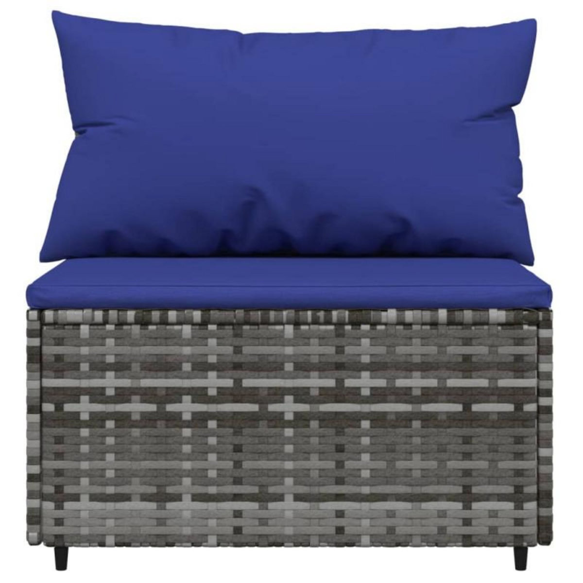 VIDAXL Canapés centraux de jardin et coussins 2pcs Gris Résine tressée