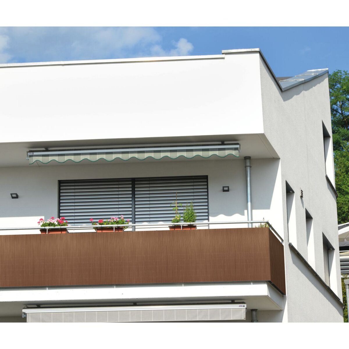 Catral Canisse LOP 1,5x3m aspect naturel