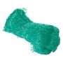 Voir la diapositive 1 : GARDENSTAR Filet protection anti-oiseaux vert - 2 x 5m