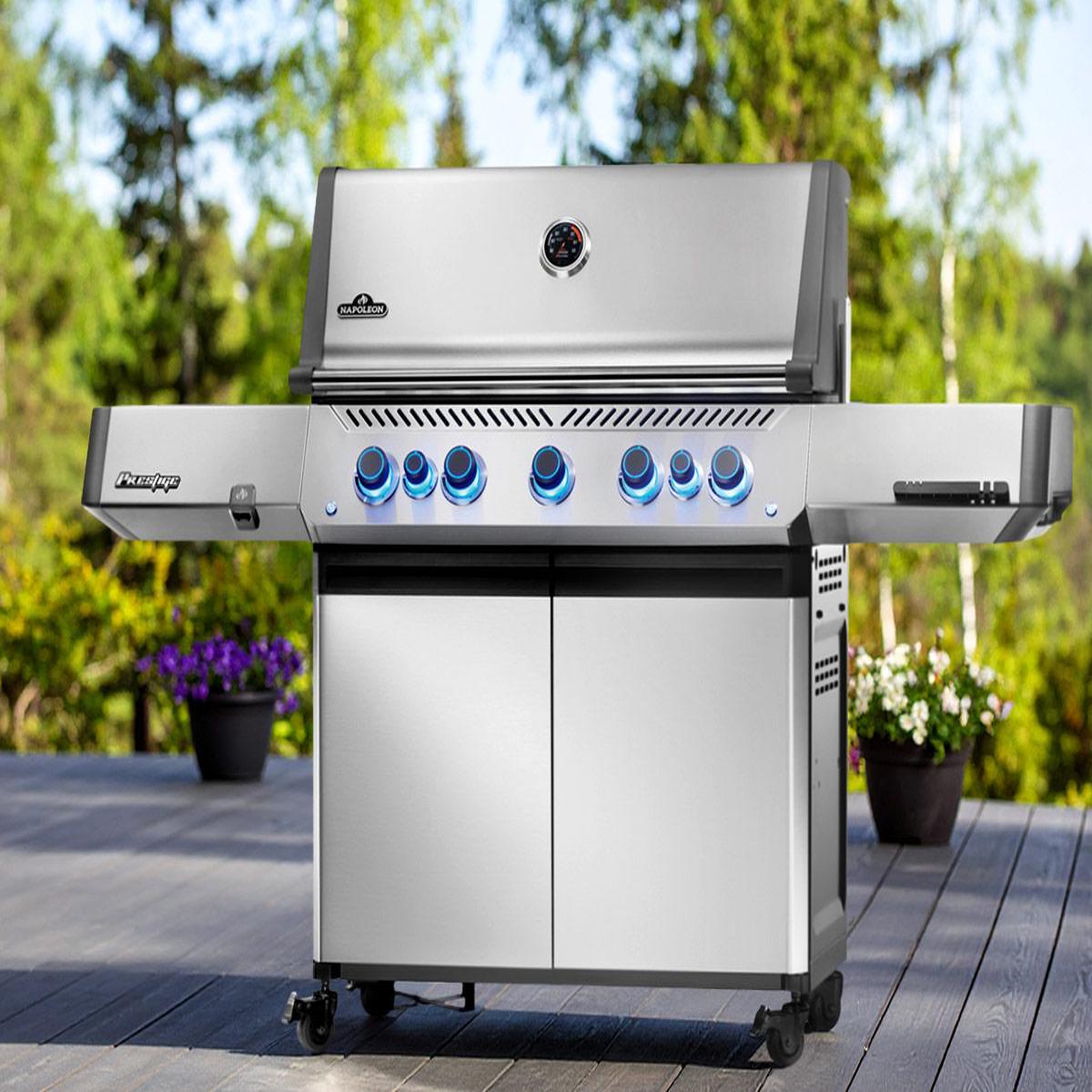 Voir la diapositive 2 : NAPOLEON Barbecue à gaz prestige 665 rsib - napoléon