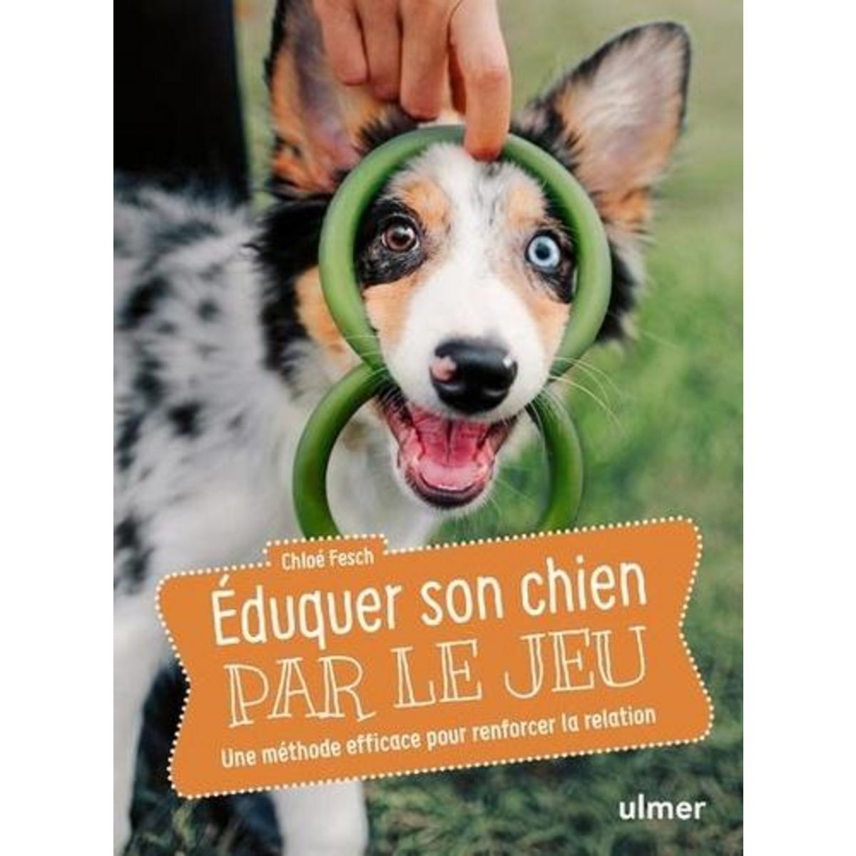 EDUQUER SON CHIEN PAR LE JEU. UNE METHODE EFFICACE POUR RENFORCER LA RELATION, Fesch Chloé
