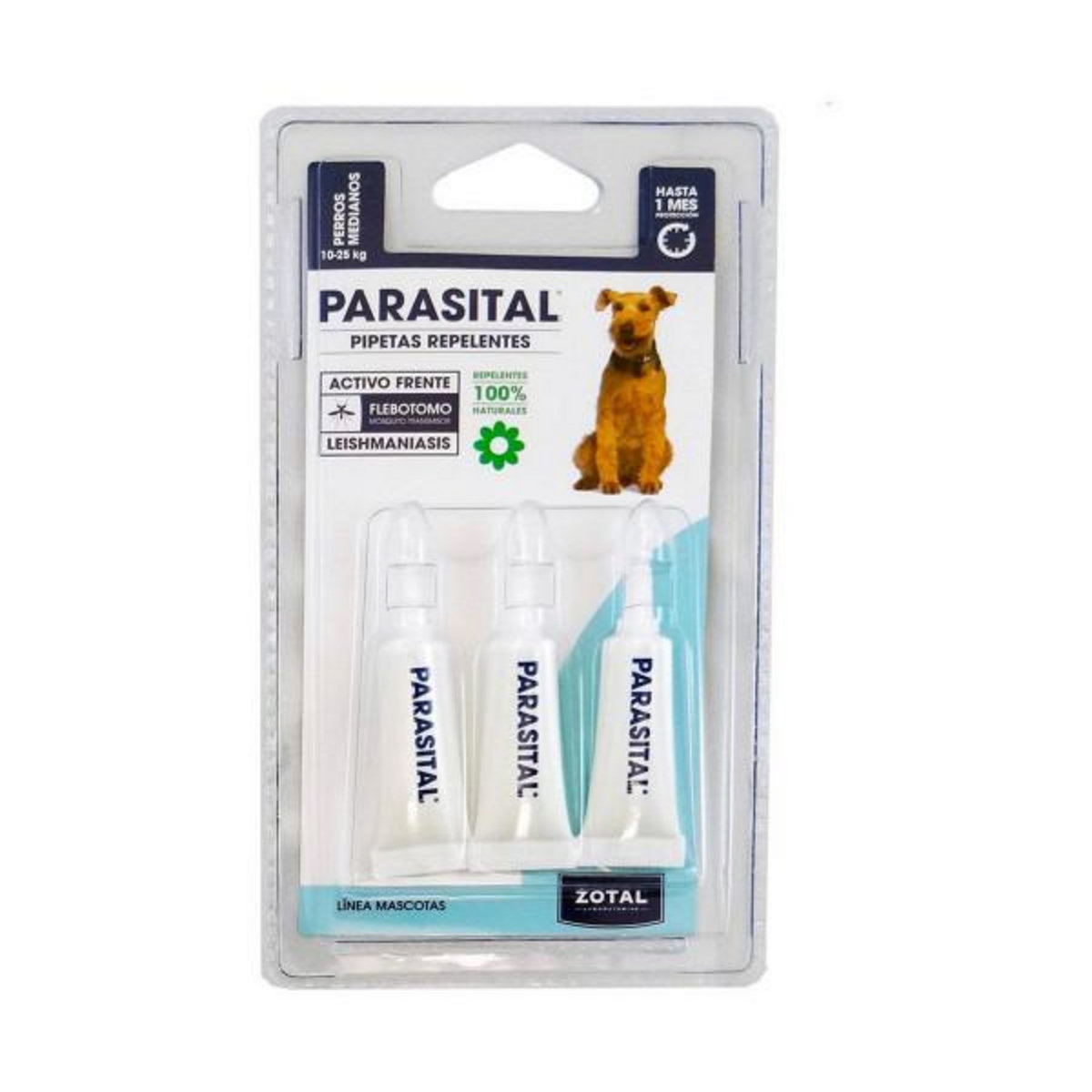 MARKET24 Chauffage d'Appoint Quartz EDM 07090 Noir 2000 W