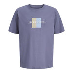 Jack & Jones T Shirt Mauve Garçon Jack & Jones Frederiks. Coloris disponibles : Violet