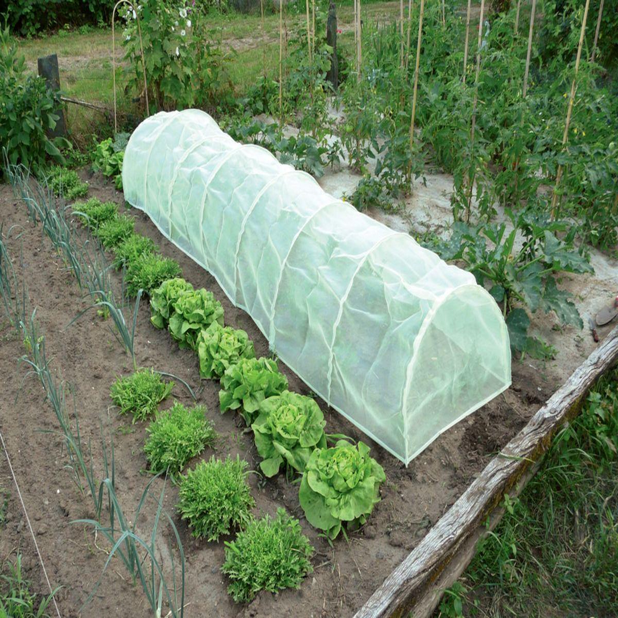Nortene Tunnel accordéon avec filet anti-insectes  Protect Tunnel  - 0,60 x 0,45 x 3 m