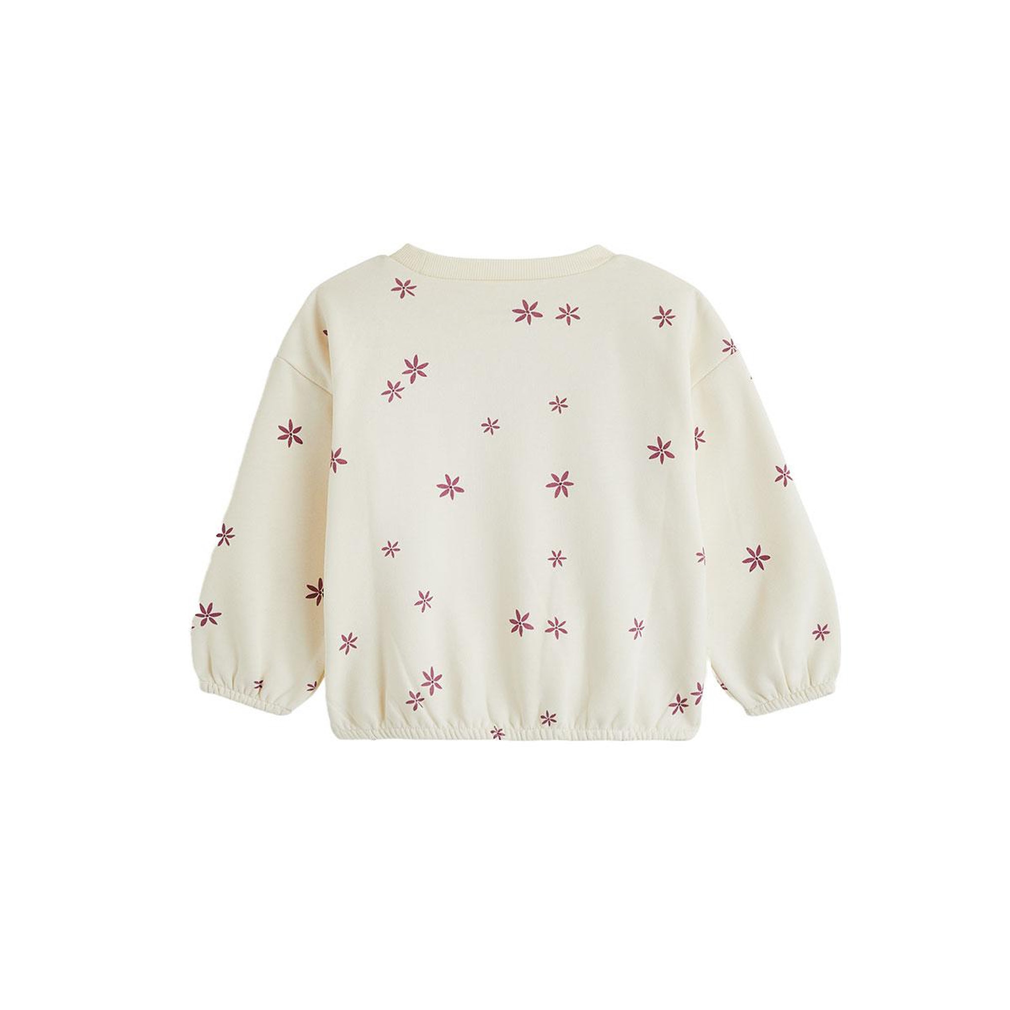 Voir la diapositive 2 : PETIT BEGUIN Sweat en molleton Misti