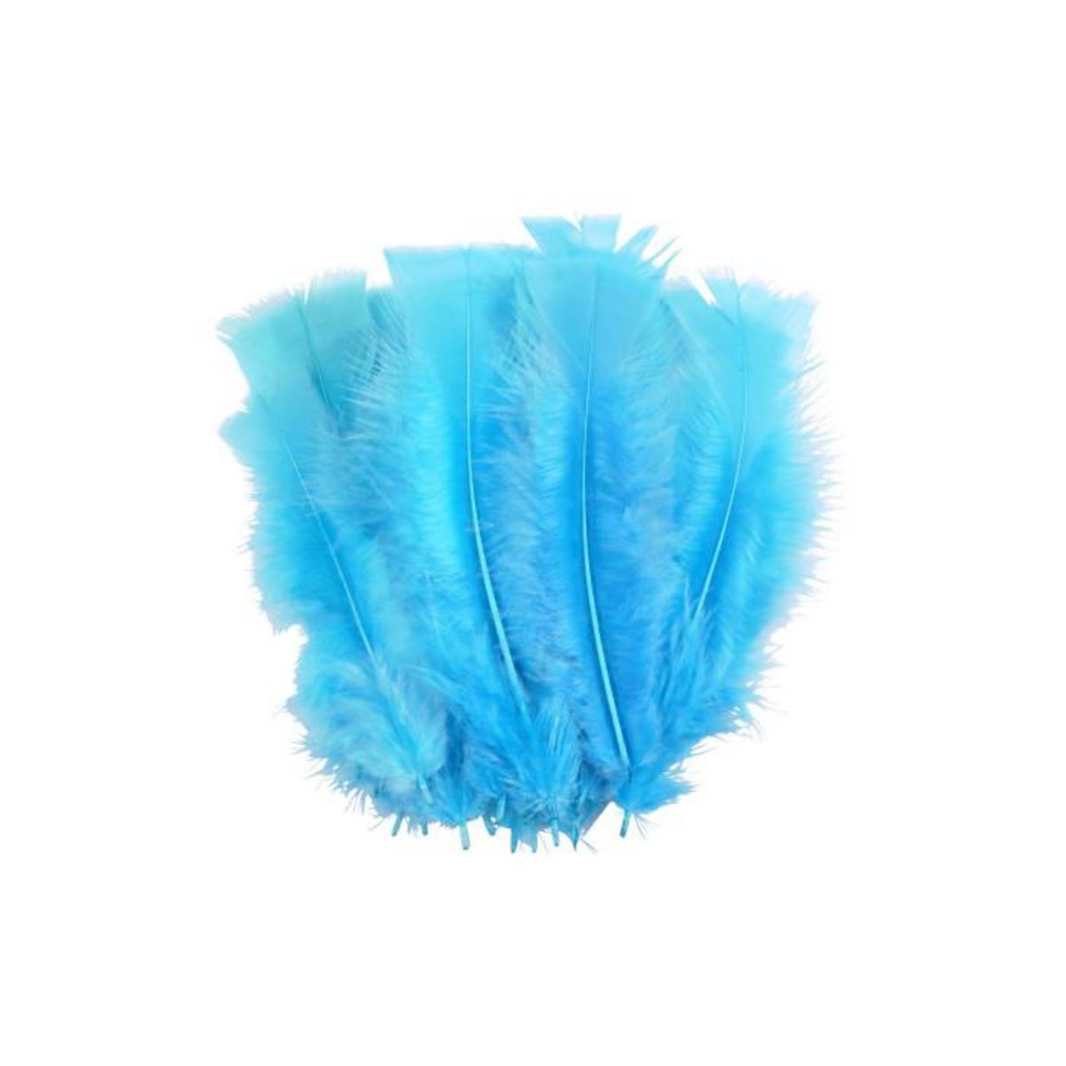 Paris Prix Lot de 35 Plumes Décoratives  Sensa  16cm Turquoise