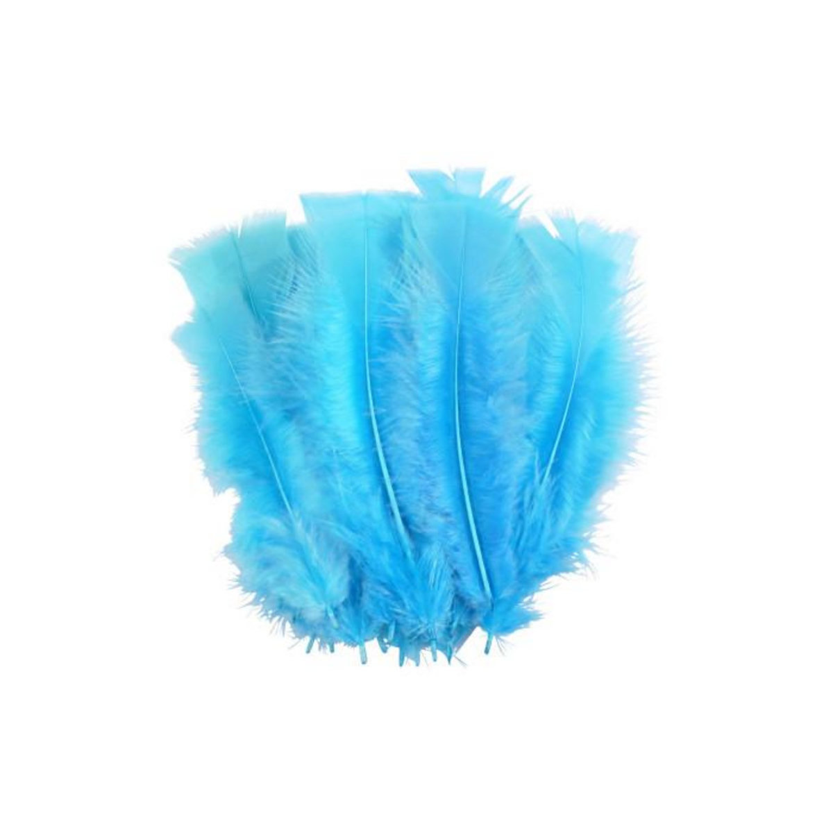 Paris Prix Lot de 35 Plumes Décoratives  Sensa  16cm Turquoise