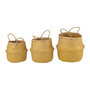 Voir la diapositive 2 : Paris Prix Lot de 3 Paniers de Rangement  Rétractables  30cm Jaune