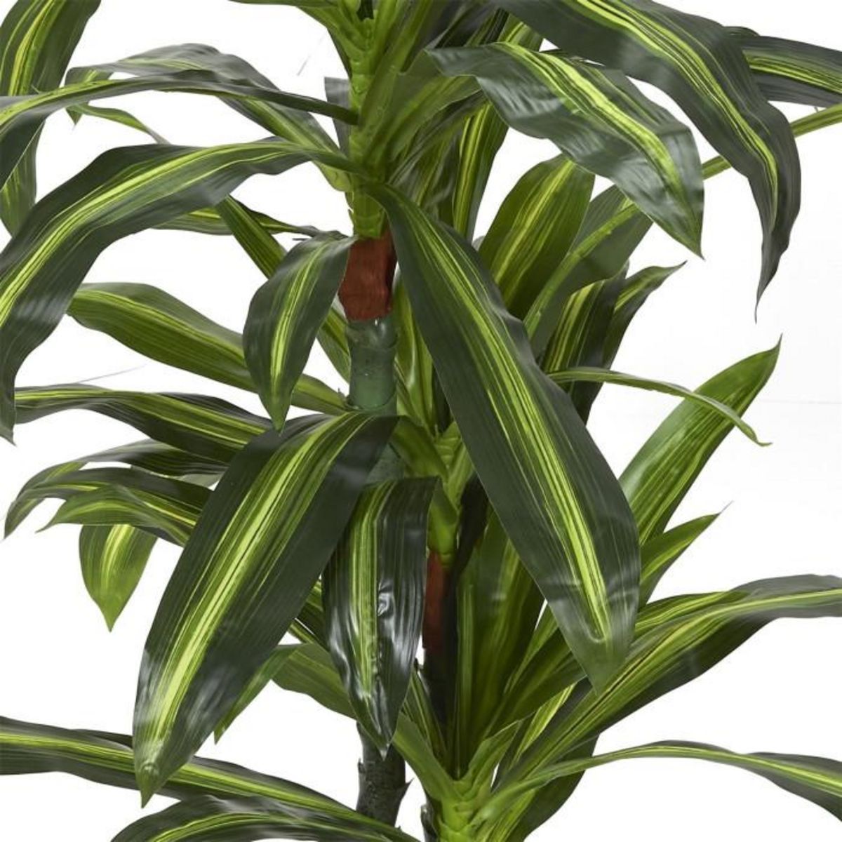 Paris Prix Plante Artificielle  Dracaena  130cm Vert