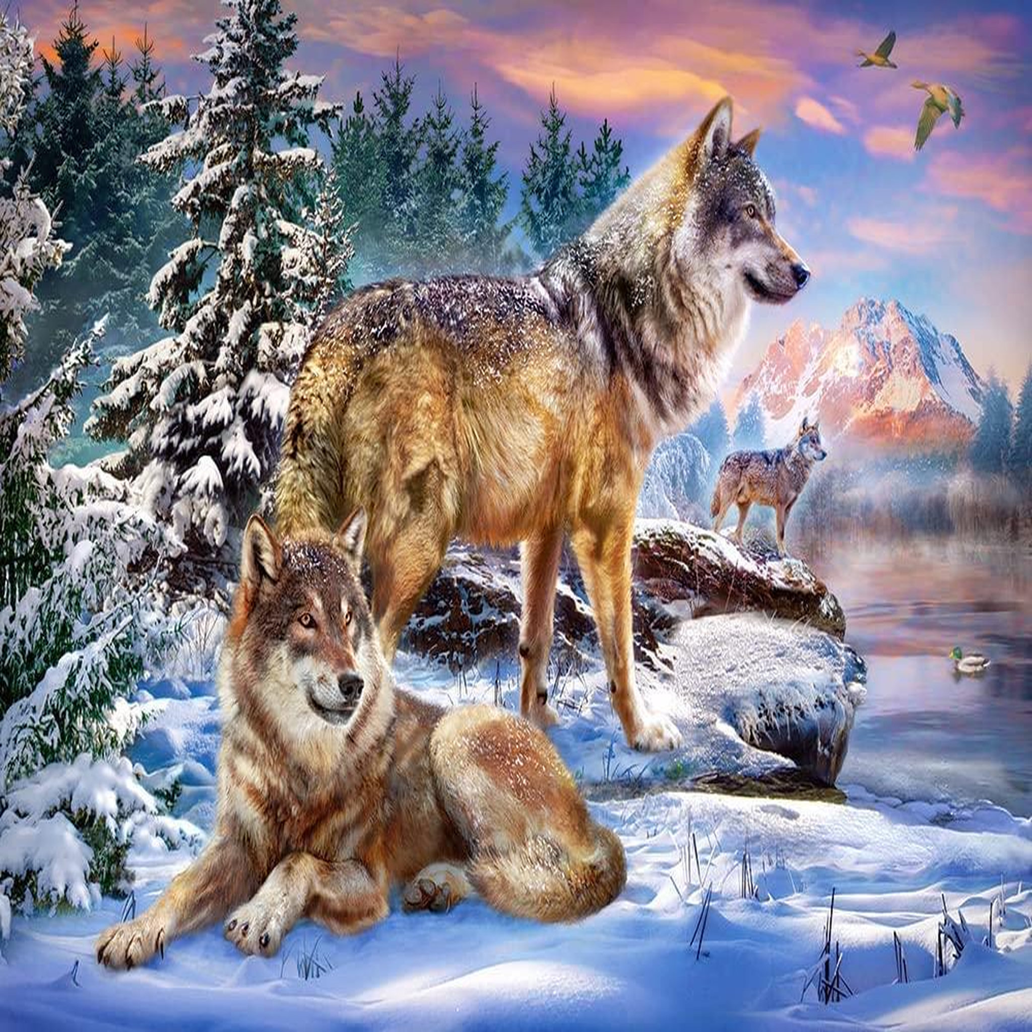 Voir la diapositive 4 : Castorland Puzzle 500 pièces : wolfish wonderland