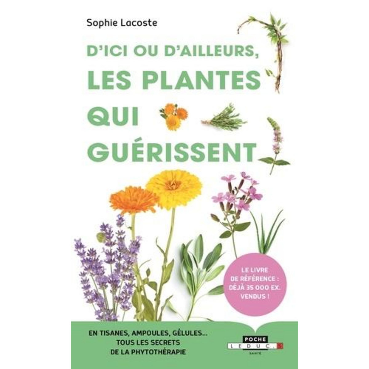 D'ICI OU D'AILLEURS, LES PLANTES QUI GUERISSENT, Lacoste Sophie