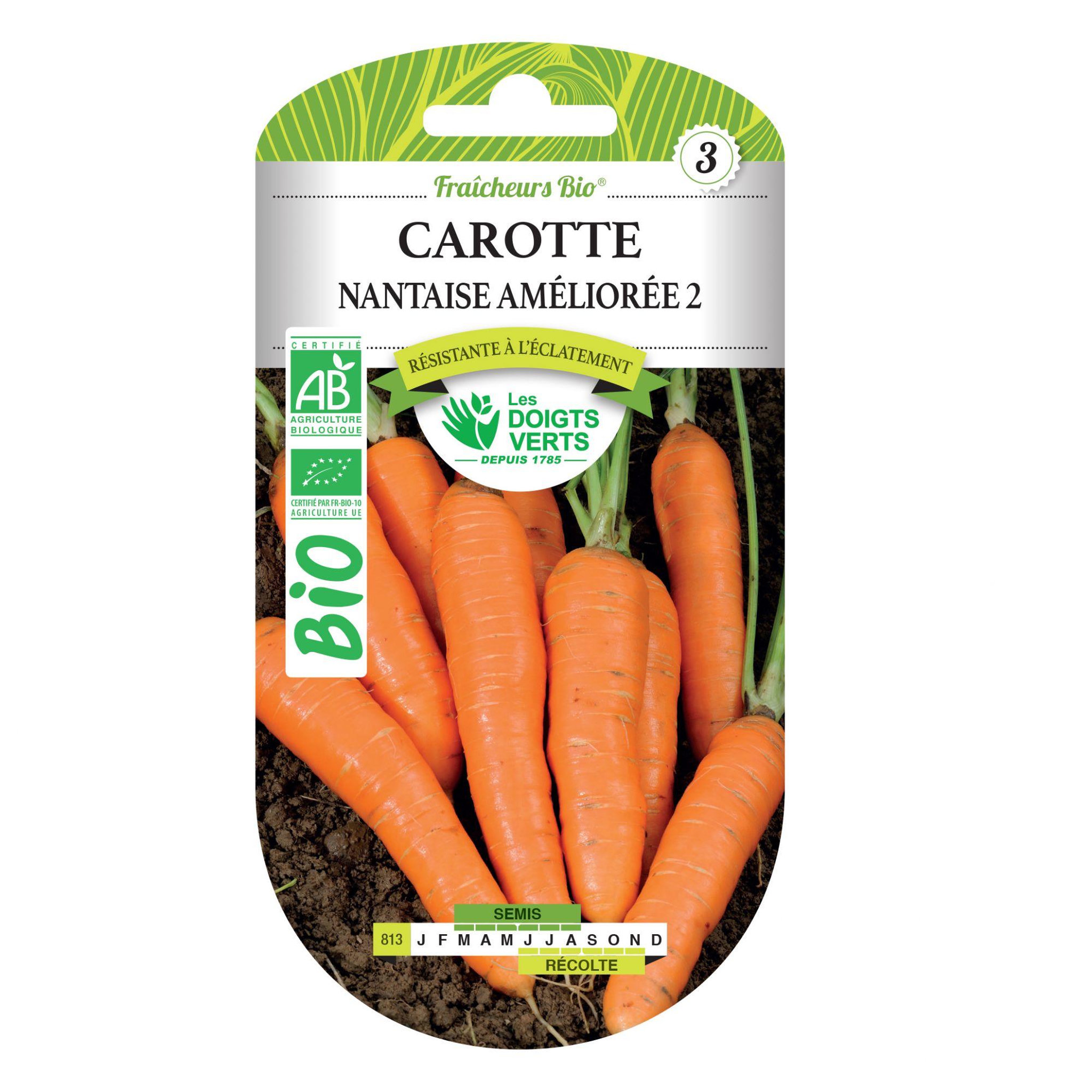 Voir la diapositive 2 : LES DOIGTS VERTS Graines Carotte nantaise améliorée 2 BIO Les Doigts Verts