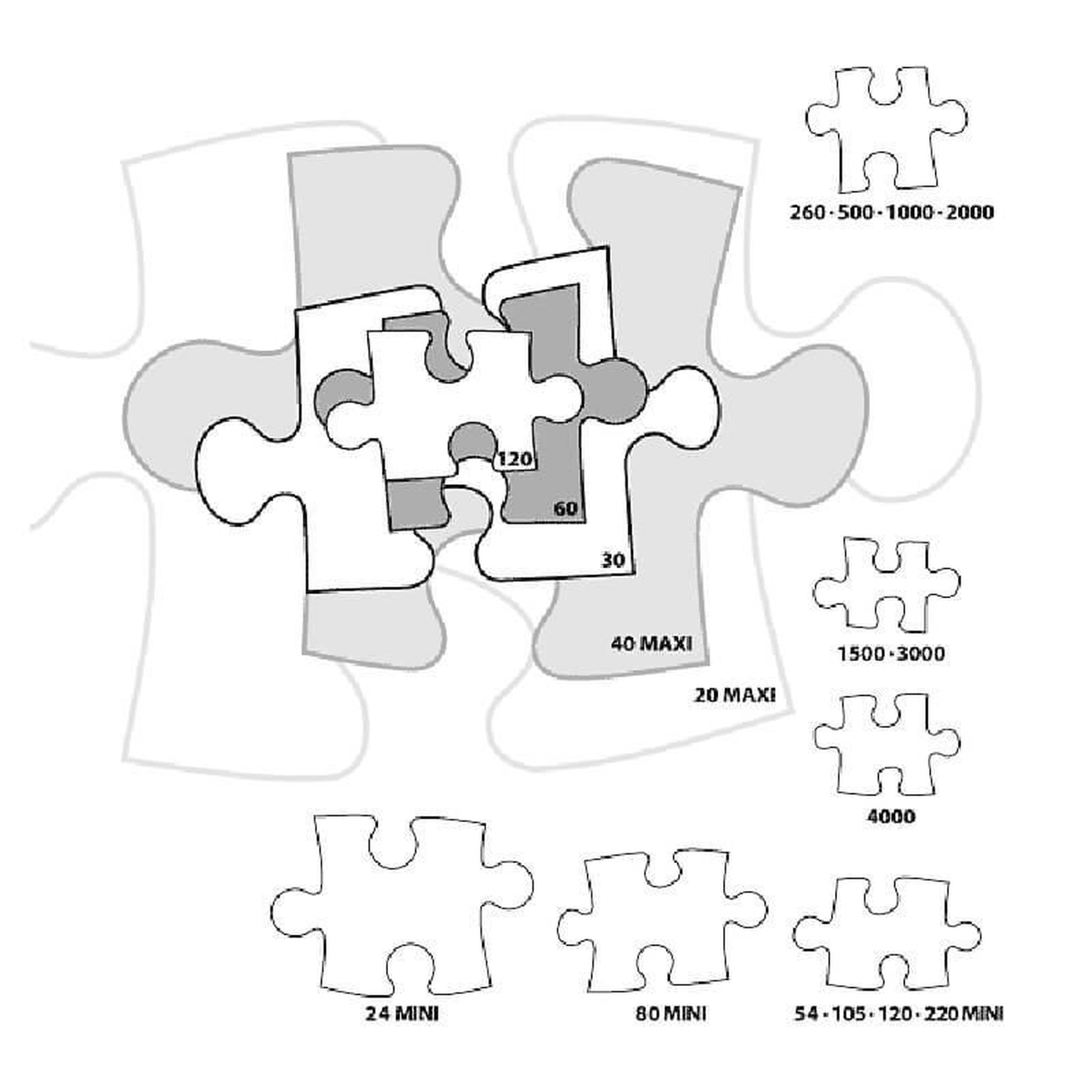 Voir la diapositive 3 : Castorland Puzzle 1500 pièces : concours de couleurs