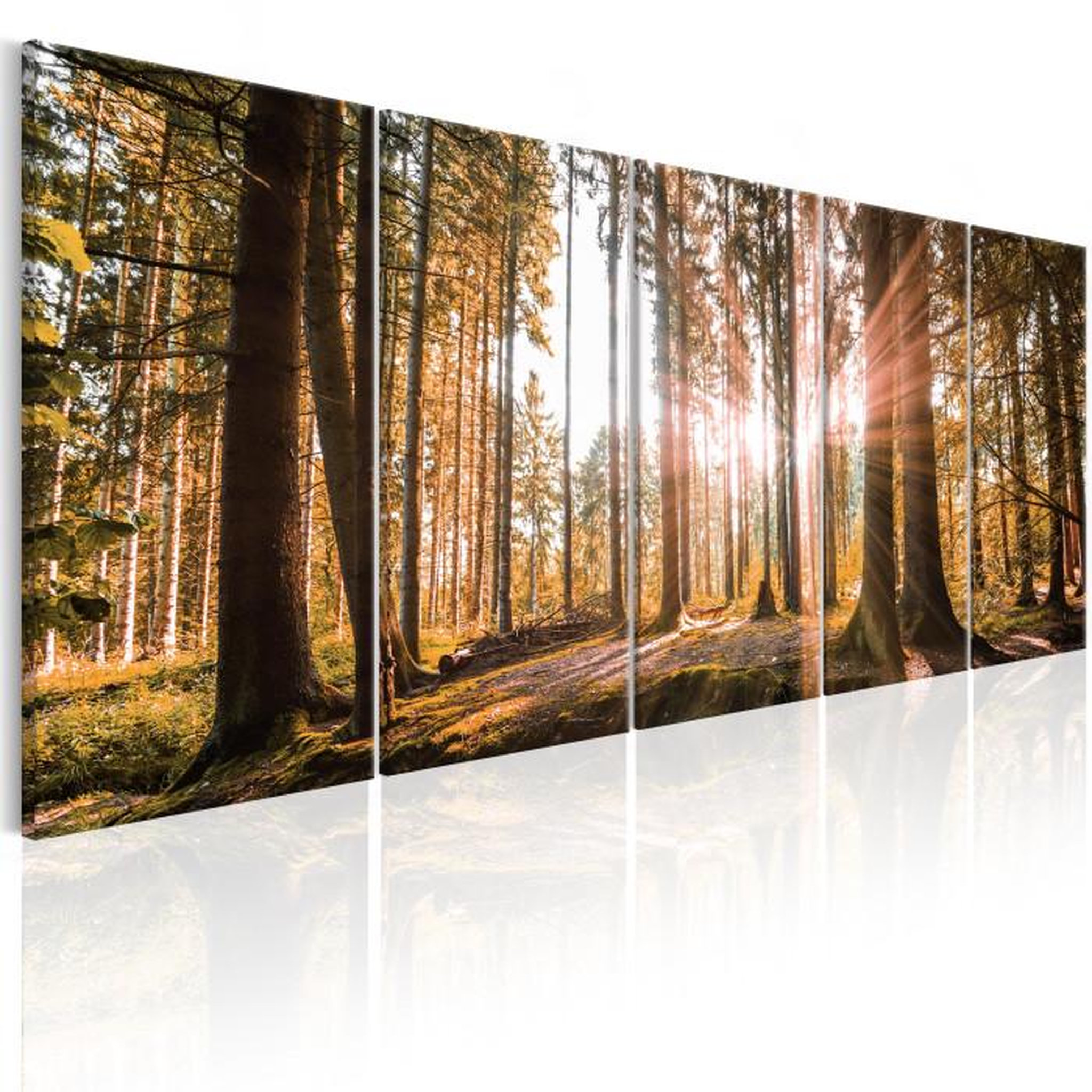 Paris Prix Tableau Imprimé  Beauty of Nature. Coloris disponibles : Multicolore