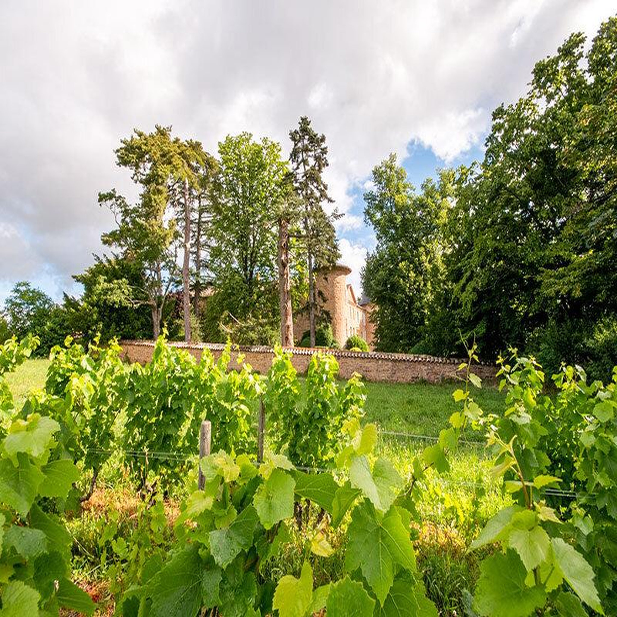 Voir la diapositive 2 : Smartbox Dégustation de 4 cuvées, balade et pique-nique pour 2 dans les jardins d'un château du beaujolais - coffret cadeau sport & aventure