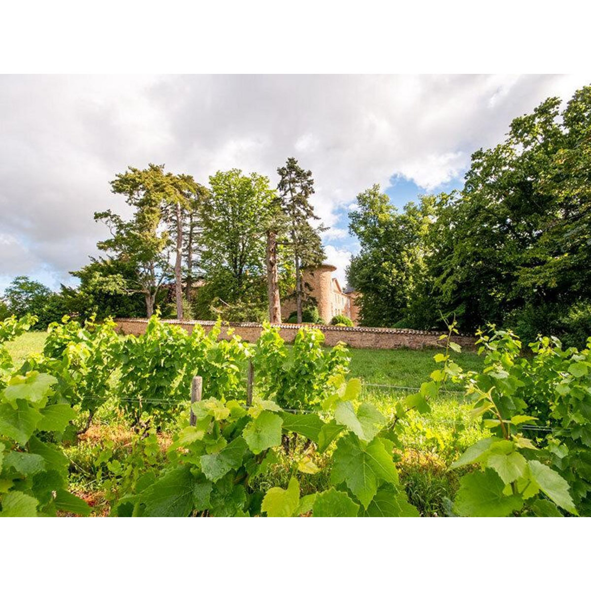 Smartbox Dégustation de 4 cuvées, balade et pique-nique pour 2 dans les jardins d'un château du Beaujolais - Coffret Cadeau Sport & Aventure