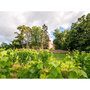 Voir la diapositive 2 : Smartbox Dégustation de 4 cuvées, balade et pique-nique pour 2 dans les jardins d'un château du Beaujolais - Coffret Cadeau Sport & Aventure