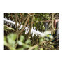 Voir la diapositive 4 : Gardena GARDENA Taille-haie electrique PowerCut 700/65 700 W 9835-20