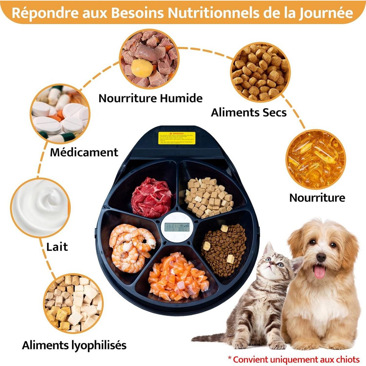 Mangeoire Automatique pour Chats, 1-4 Jours fraîcheur, 5 Compartiments pour 330 g de Nourriture pour Animaux, Assiette de qualité supérieure, Lavable, pour Chats et Chiens.