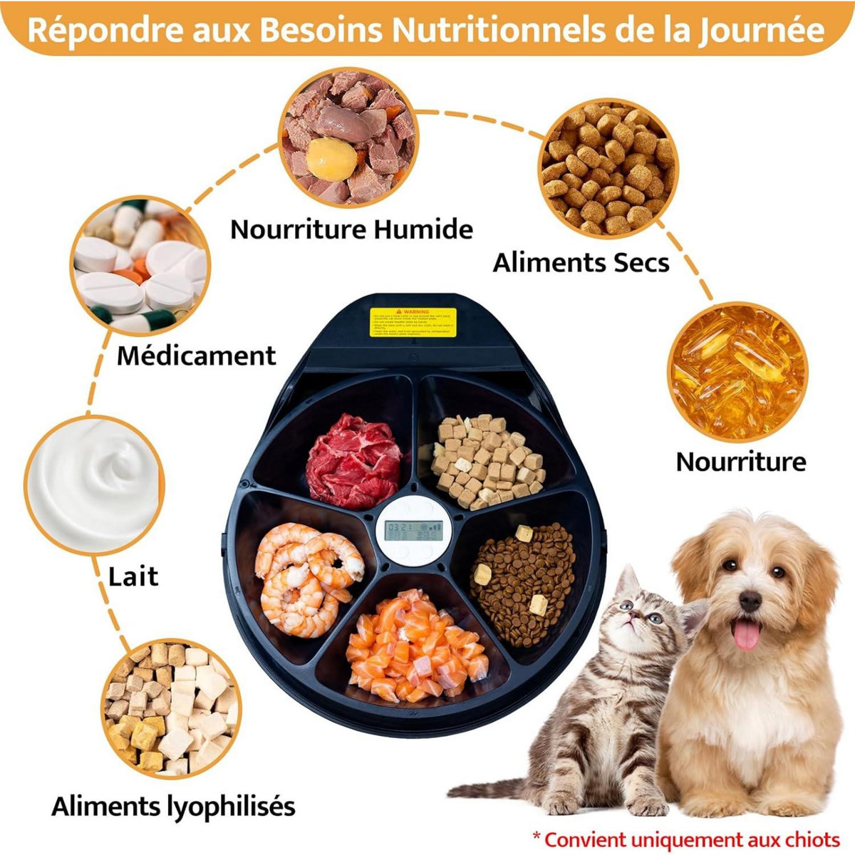 Mangeoire Automatique pour Chats, 1-4 Jours fraîcheur, 5 Compartiments pour 330 g de Nourriture pour Animaux, Assiette de qualité supérieure, Lavable, pour Chats et Chiens.