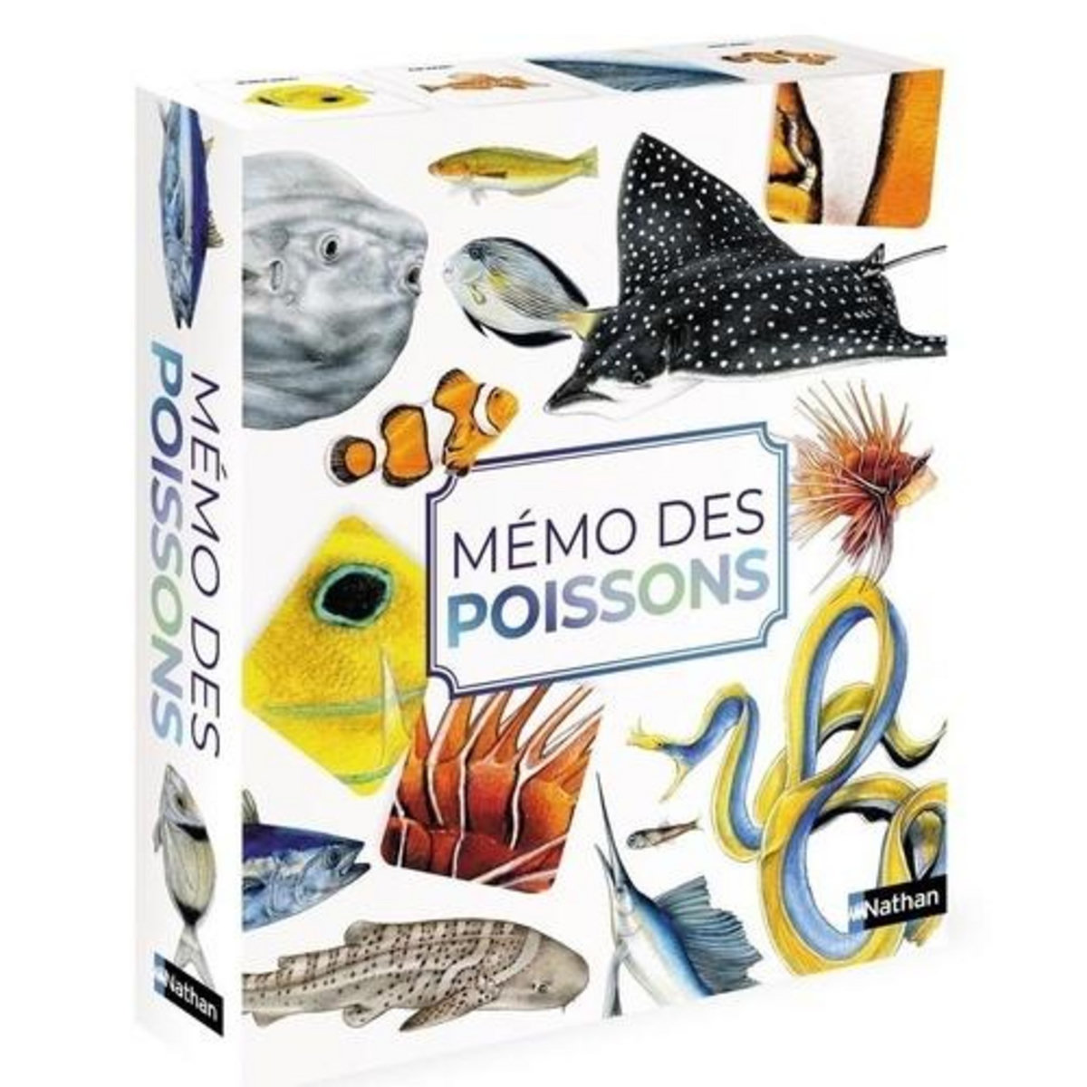 MEMO DES POISSONS, Herrmann Eve