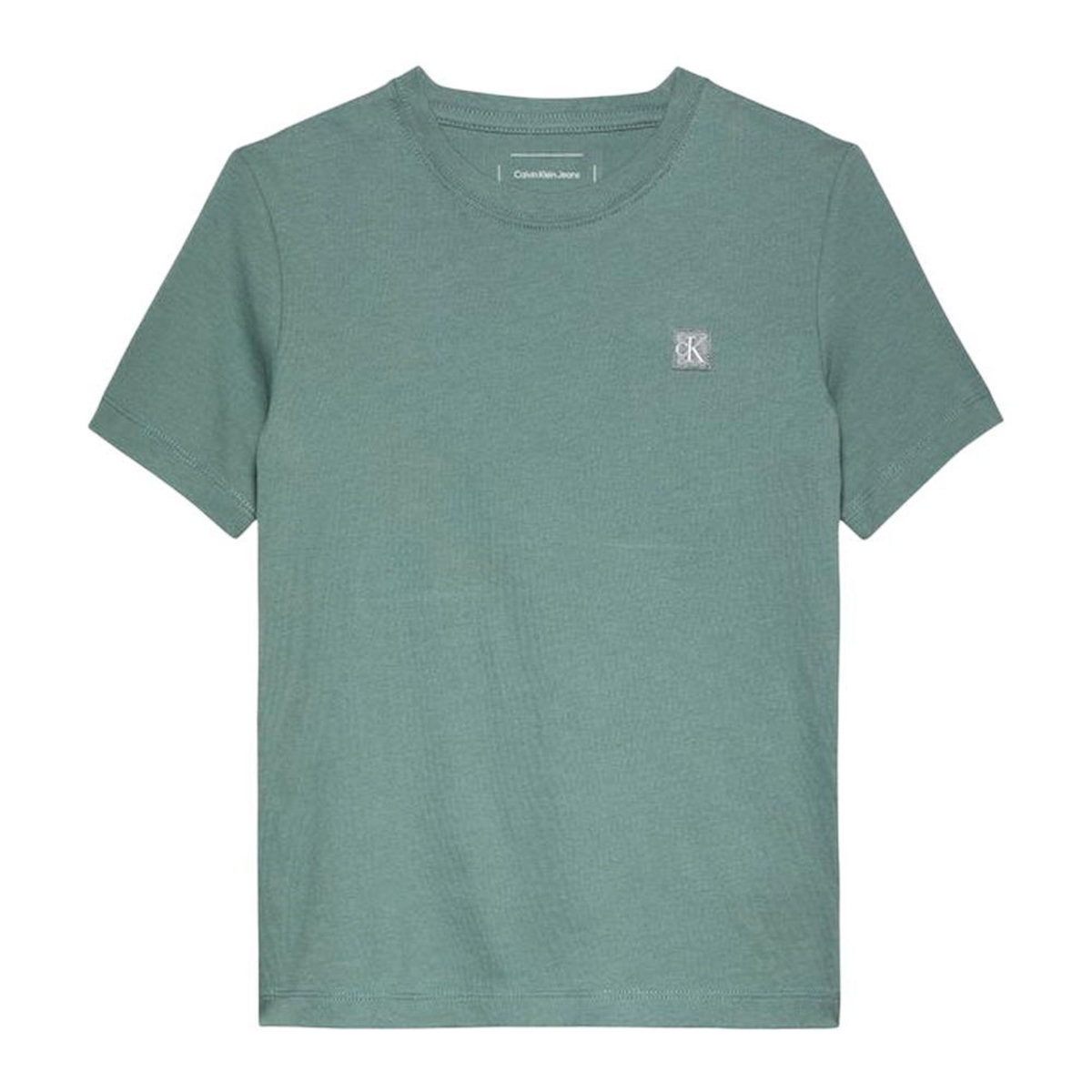 CALVIN KLEIN JEANS T-shirt Vert Garçon Calvin Klein Jeans IU0IU00543