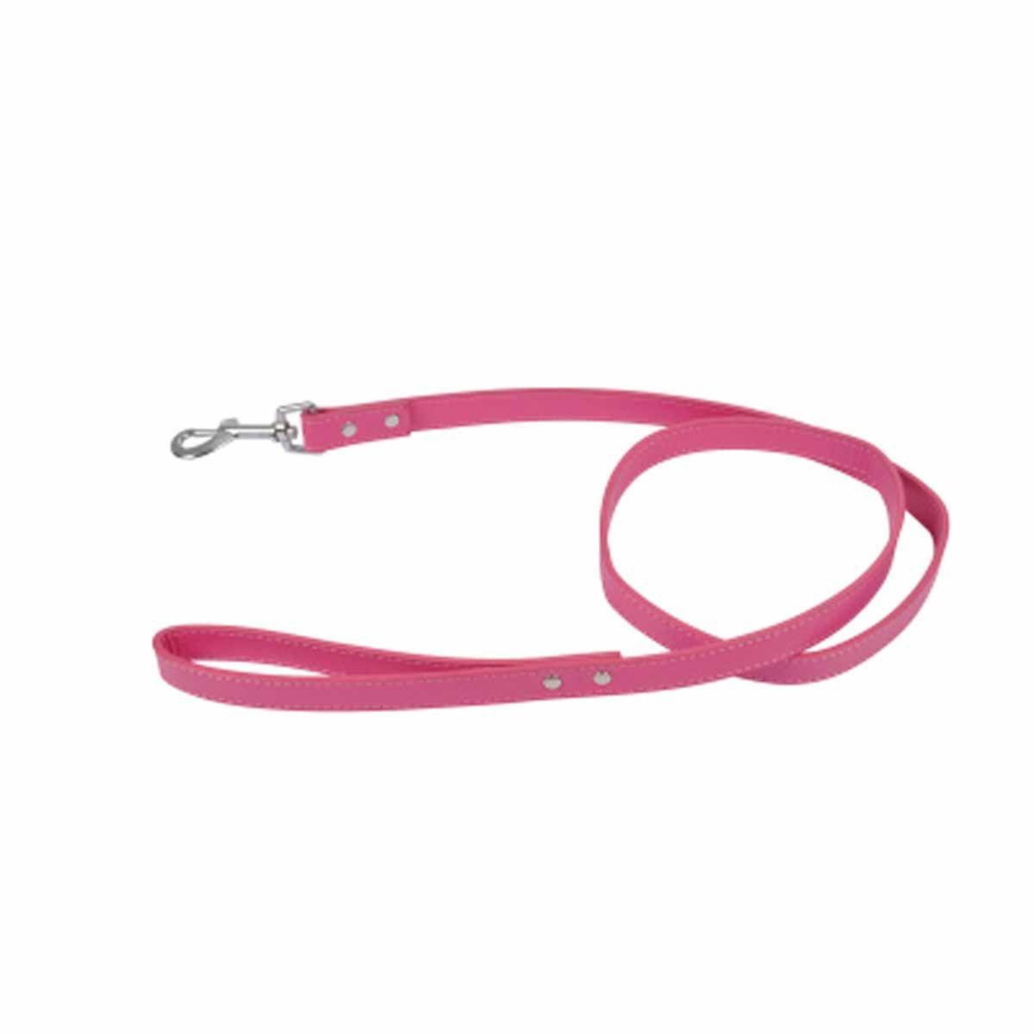 HOMEA Laisse pour Chien  Élégante  120cm Fuchsia
