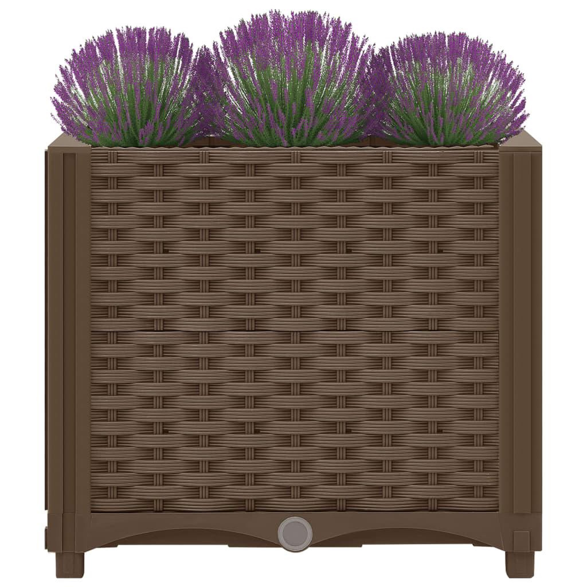 Voir la diapositive 3 : VIDAXL Lit sureleve 40x40x38 cm Polypropylene