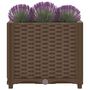 Voir la diapositive 3 : VIDAXL Lit sureleve 40x40x38 cm Polypropylene