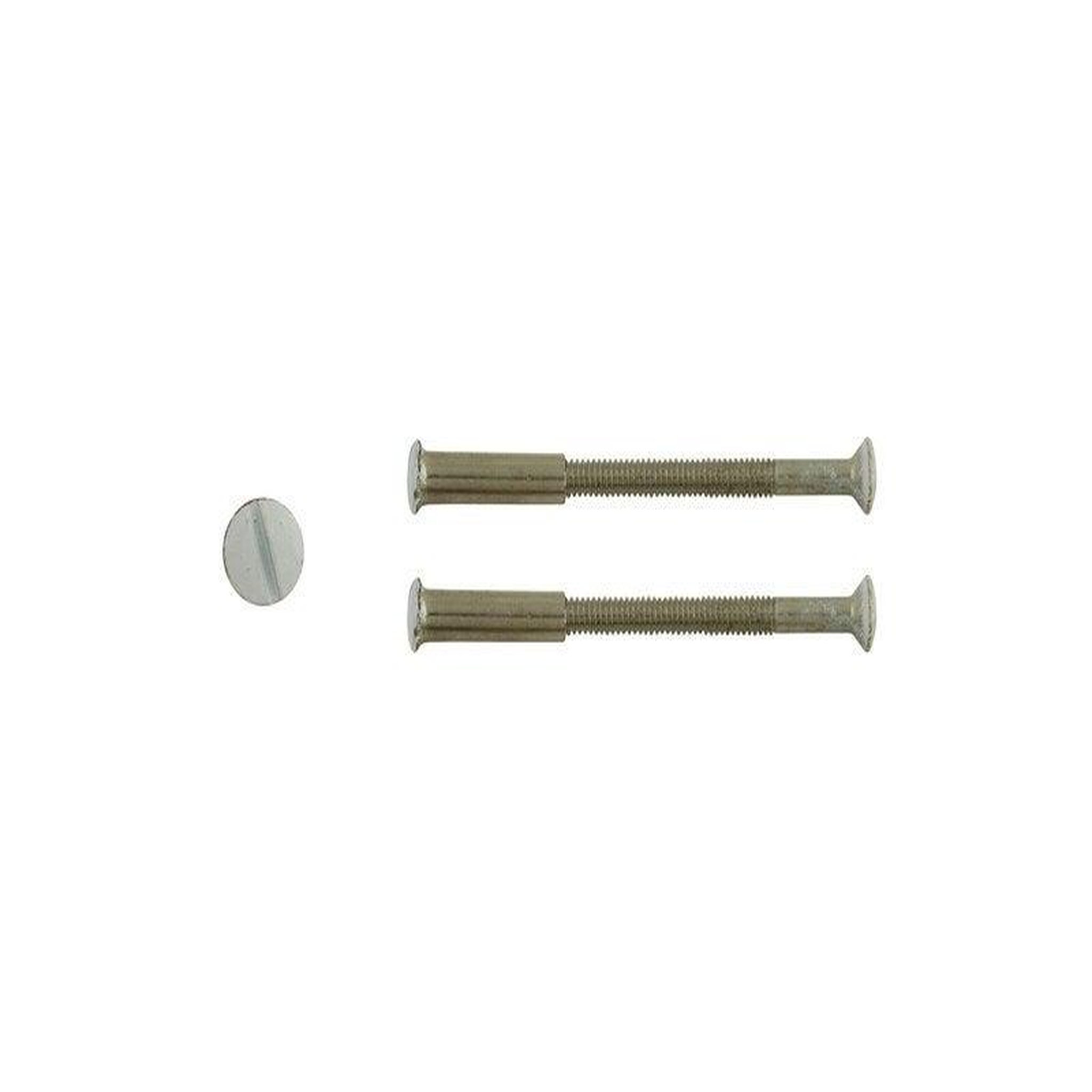 CENTRALE BRICO Lot De 2 Vis Acier Laqué, L.4.5 X L.0.7