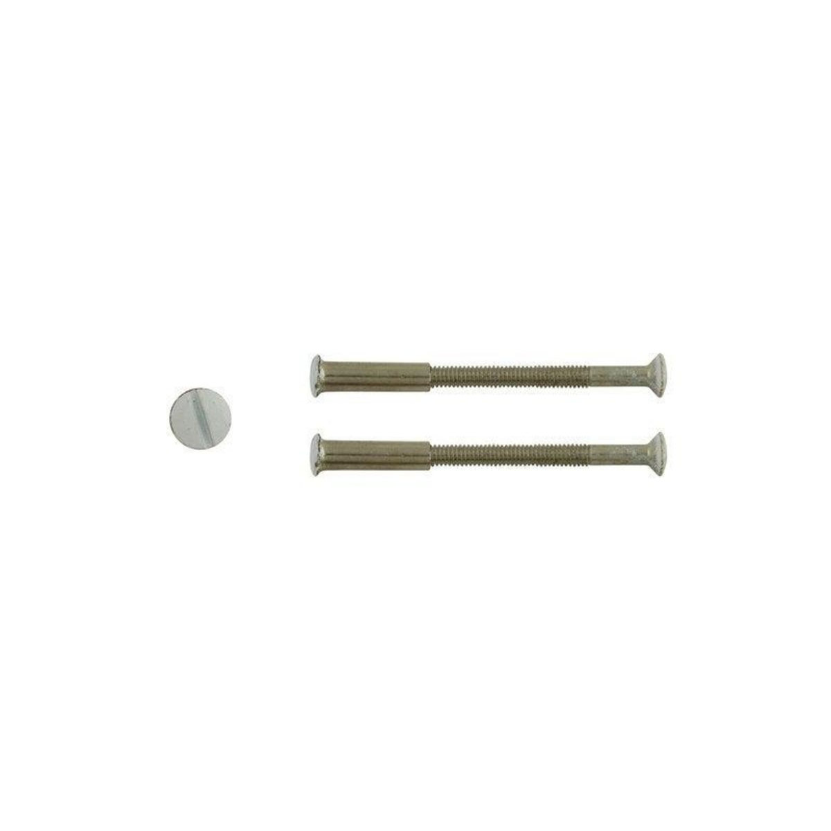 CENTRALE BRICO Lot De 2 Vis Acier Laqué, L.4.5 X L.0.7