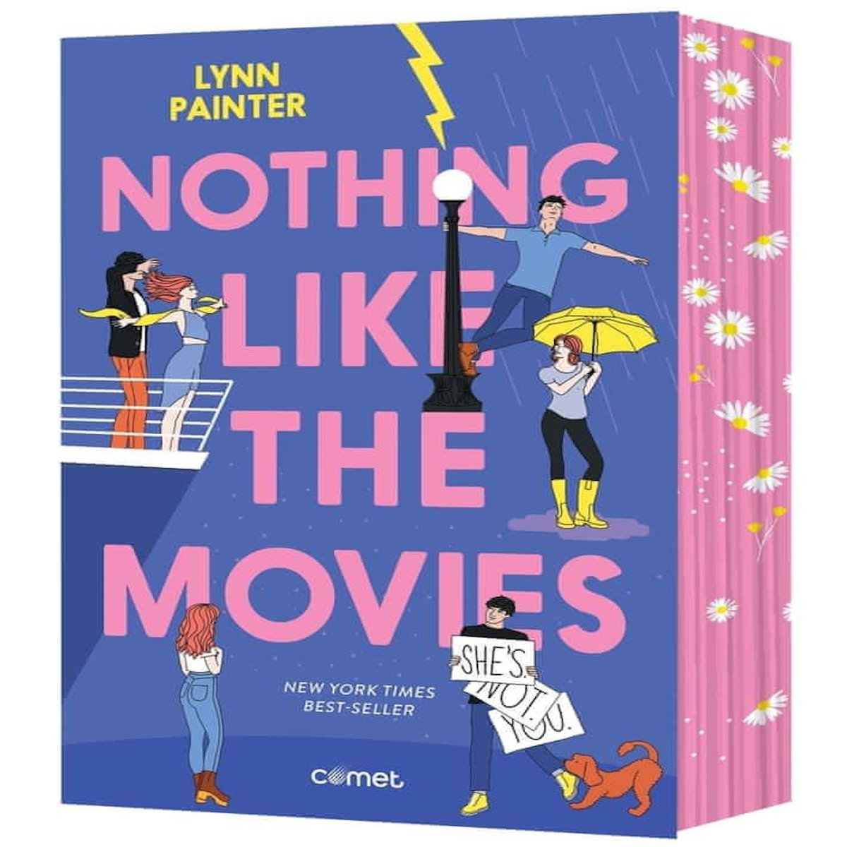 NOTHING LIKE THE MOVIES, Painter Lynn