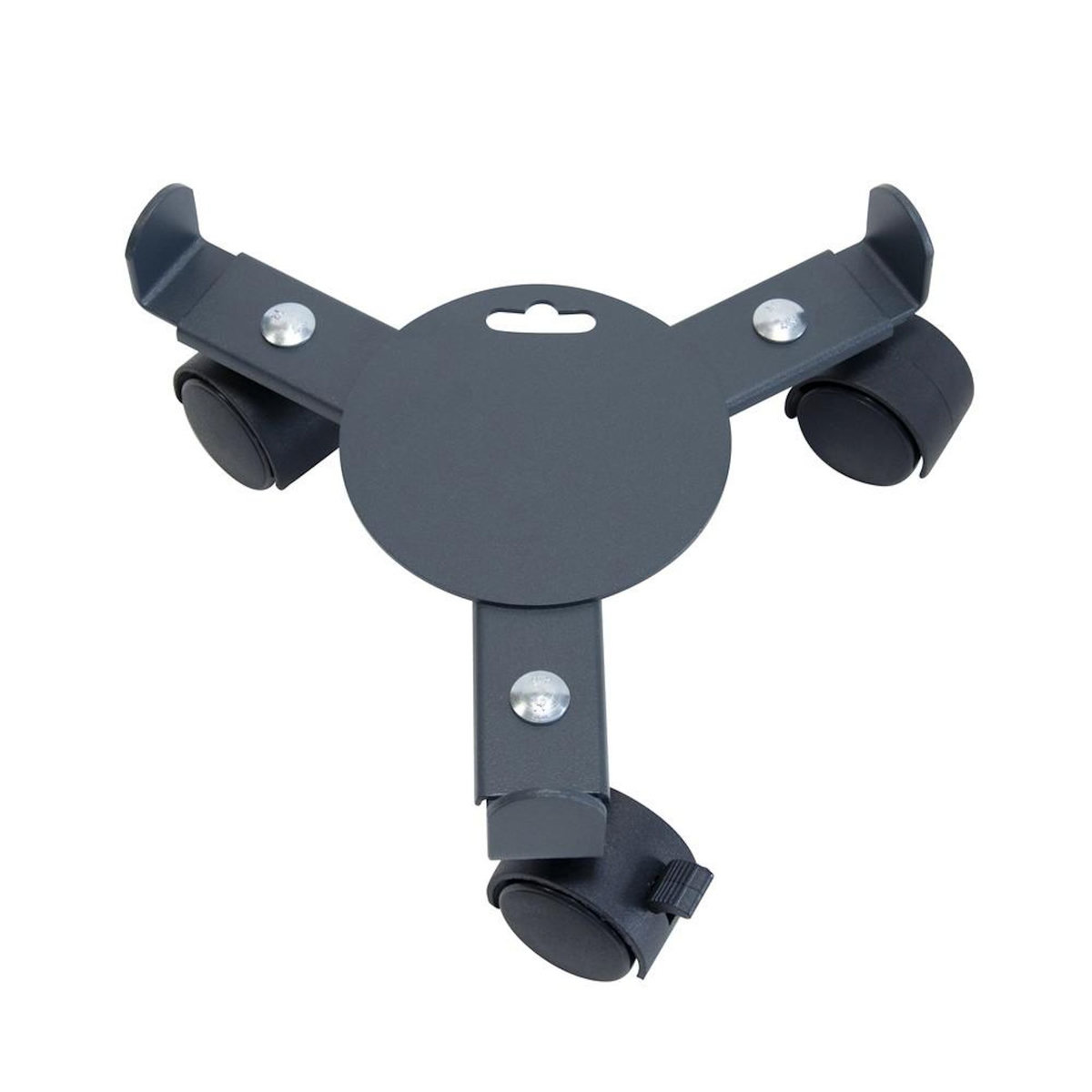 CENTRALE BRICO Roule plante extensible anthracite - 27-37 cm - Acier époxy