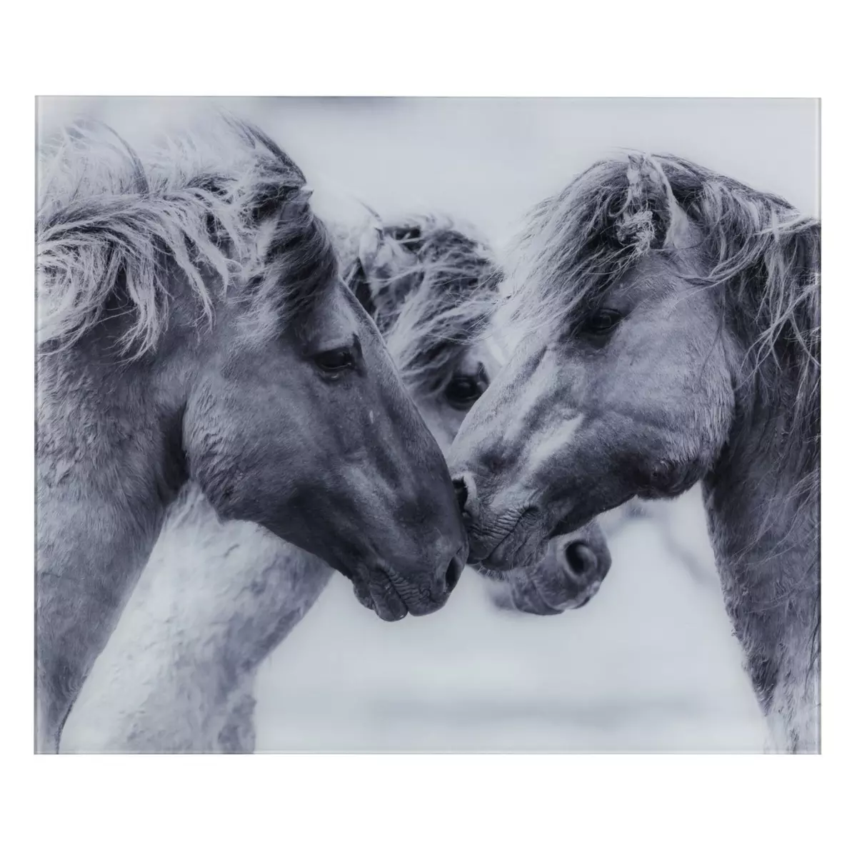 Wenko Fond de hotte en verre trempé chevaux sauvages - Longueur 60 cm x Largeur 50 cm