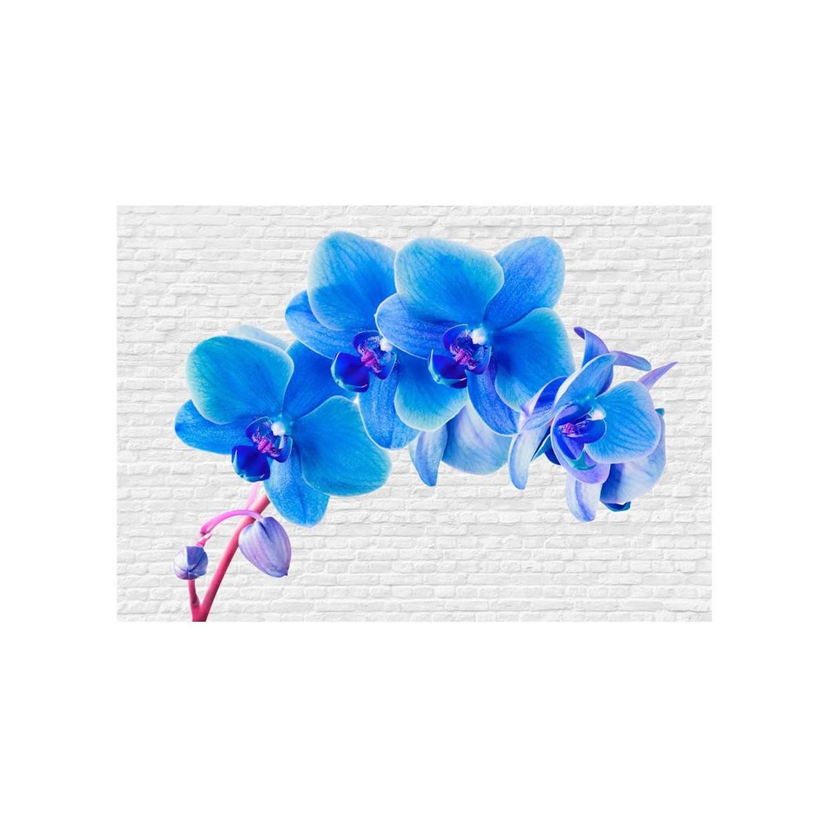 Paris Prix Papier Peint  Blue Excitation