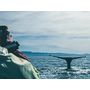 Voir la diapositive 4 : Smartbox Séjour en Islande : 4 jours avec aurores boréales et observation des baleines pour 2 - Coffret Cadeau Séjour
