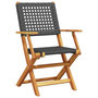 Voir la diapositive 3 : VIDAXL Chaises de jardin pliantes lot de 4 noir poly rotin bois massif