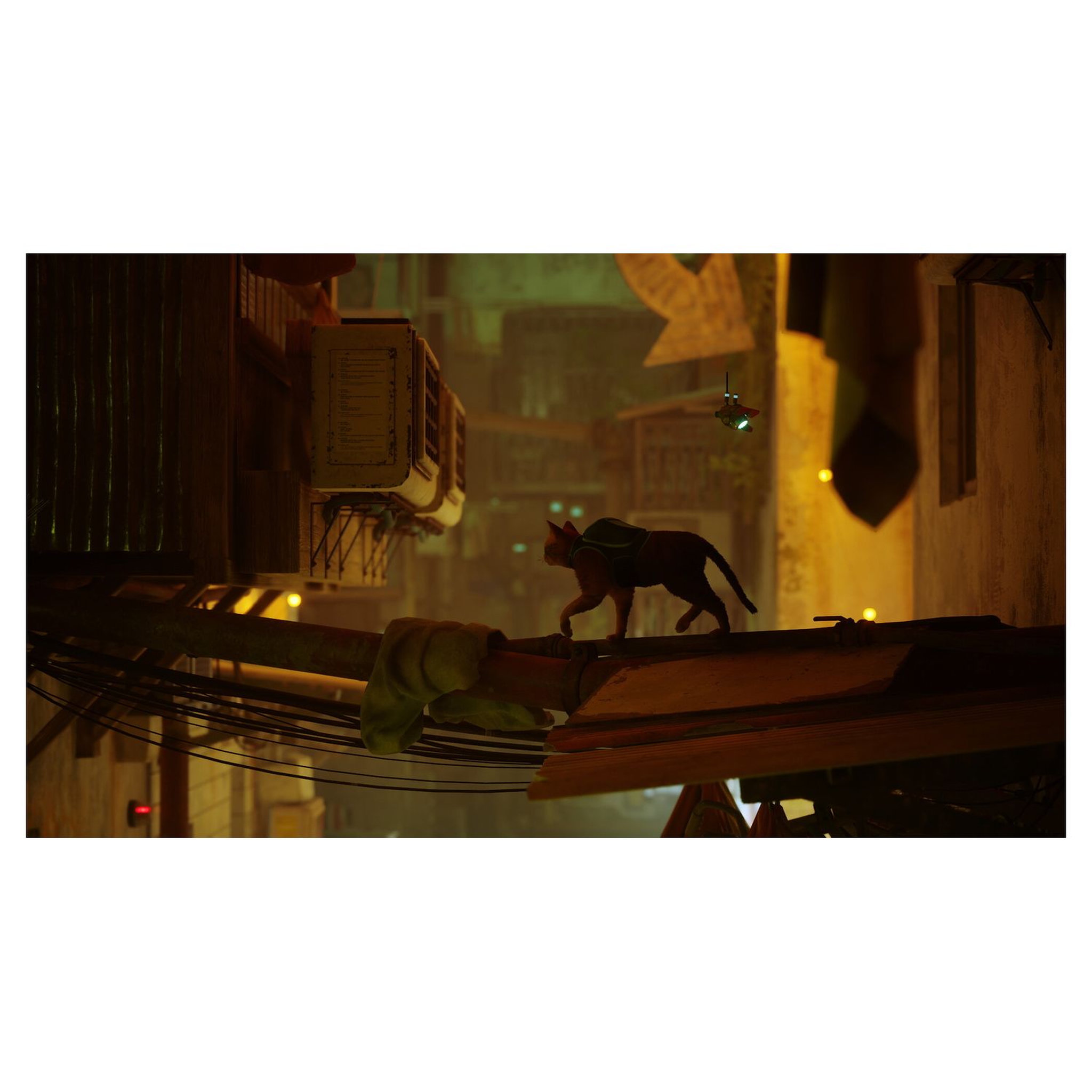 Voir la diapositive 6 : Stray PS5