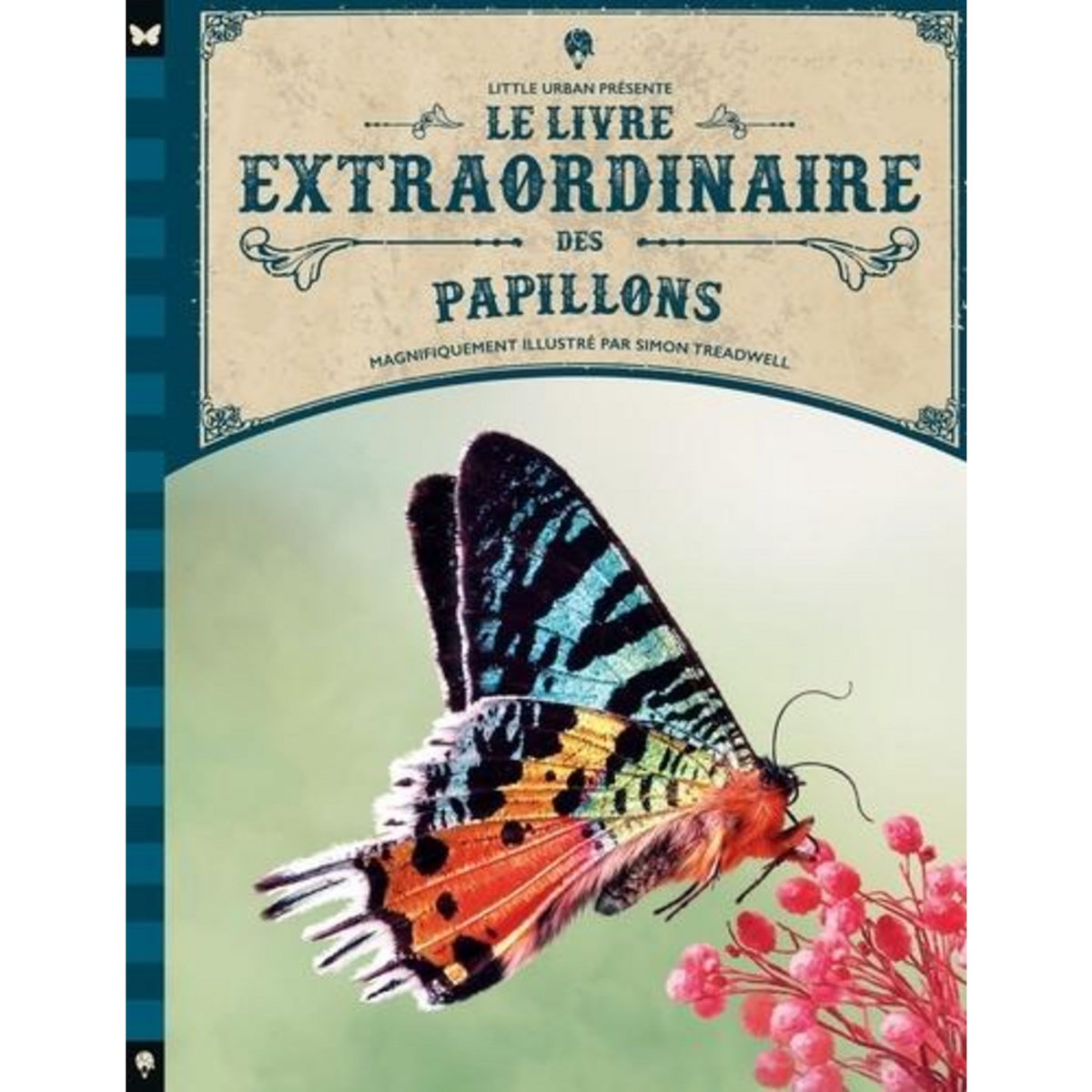 LE LIVRE EXTRAORDINAIRE DES PAPILLONS, Taylor Barbara