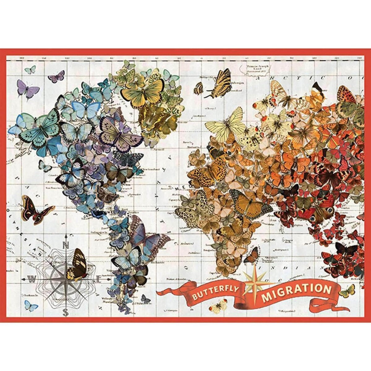  Puzzle 1000 pièces : migration du papillon