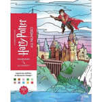 HARRY POTTER AU NUMERO, Hachette