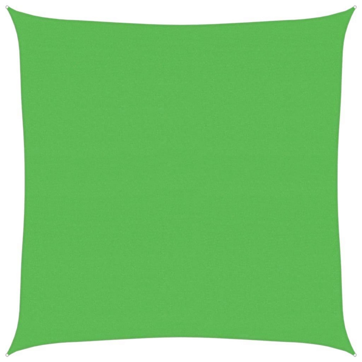 VIDAXL Voile d'ombrage 160 g/m^2 Vert clair 4x4 m PEHD